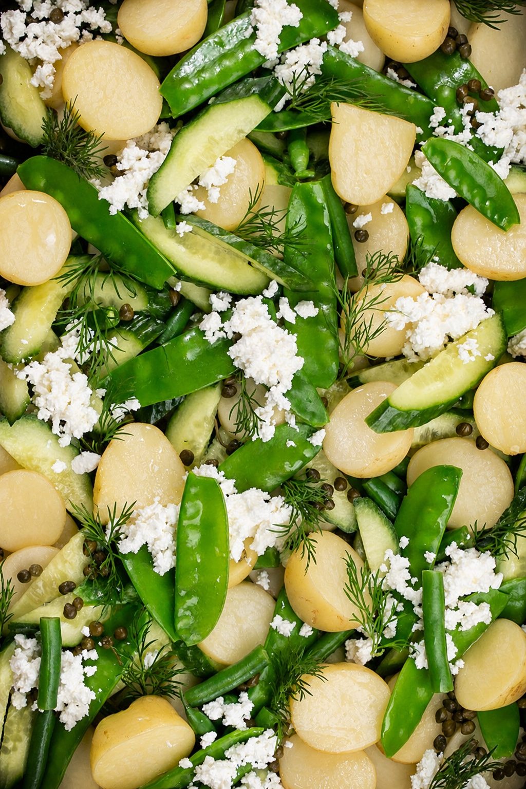 Seasonal salad prepared for office catering.